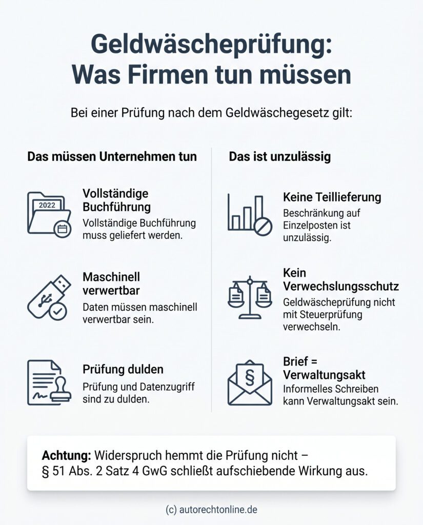Infografik: Rechte und Pflichten bei einer Geldwäscheprüfung – Unternehmen müssen die vollständige Finanzbuchhaltung maschinell verwertbar vorlegen und dürfen die Datenlieferung nicht auf Einzelposten beschränken.